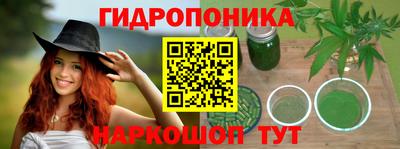 индика Гагарин