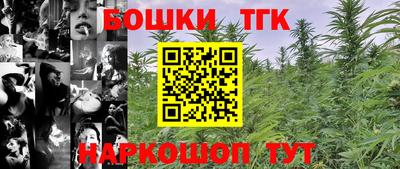 индика Гагарин