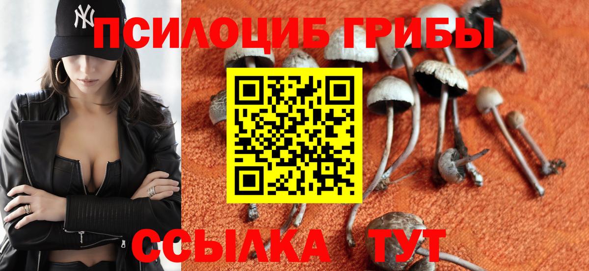 Псилоцибиновые грибы Magic Shrooms Ярцево