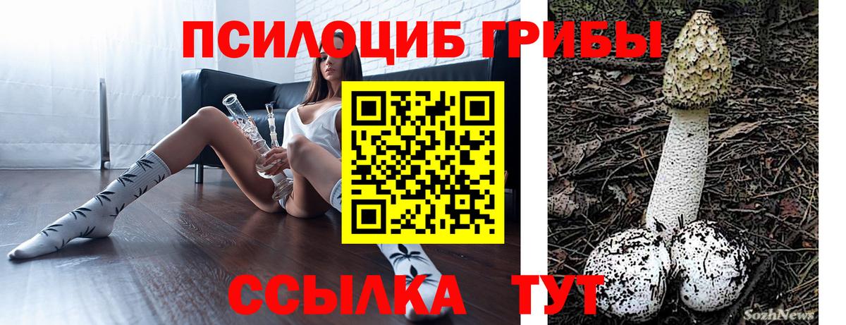 Ярцево  Галлюциногенные грибы Magic Shrooms  как найти наркотики  Галлюциногенные грибы прущие грибы  Вход с VPN 